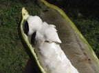 Ice Cream Bean