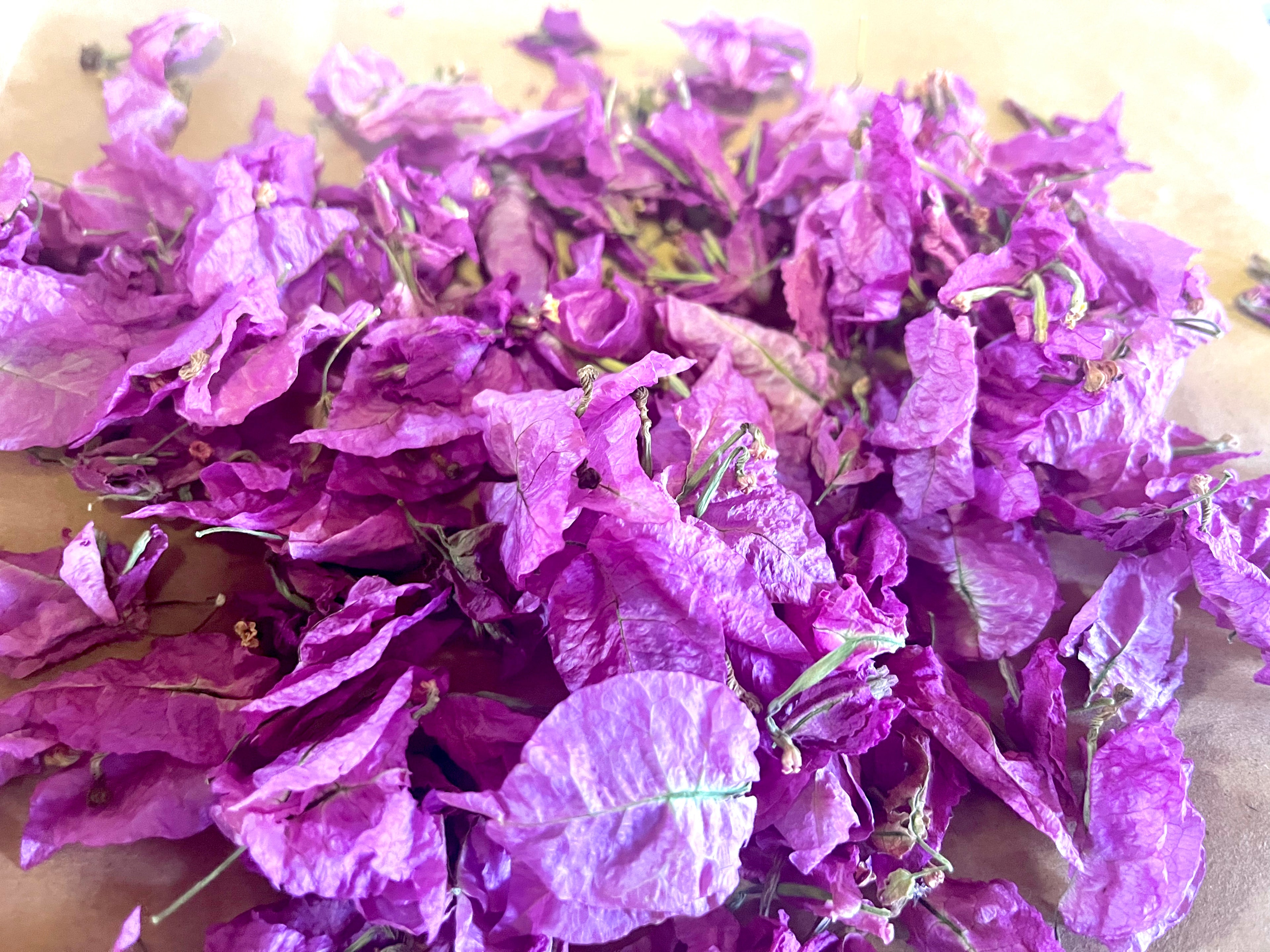 Dried Bougainvillea Flowers