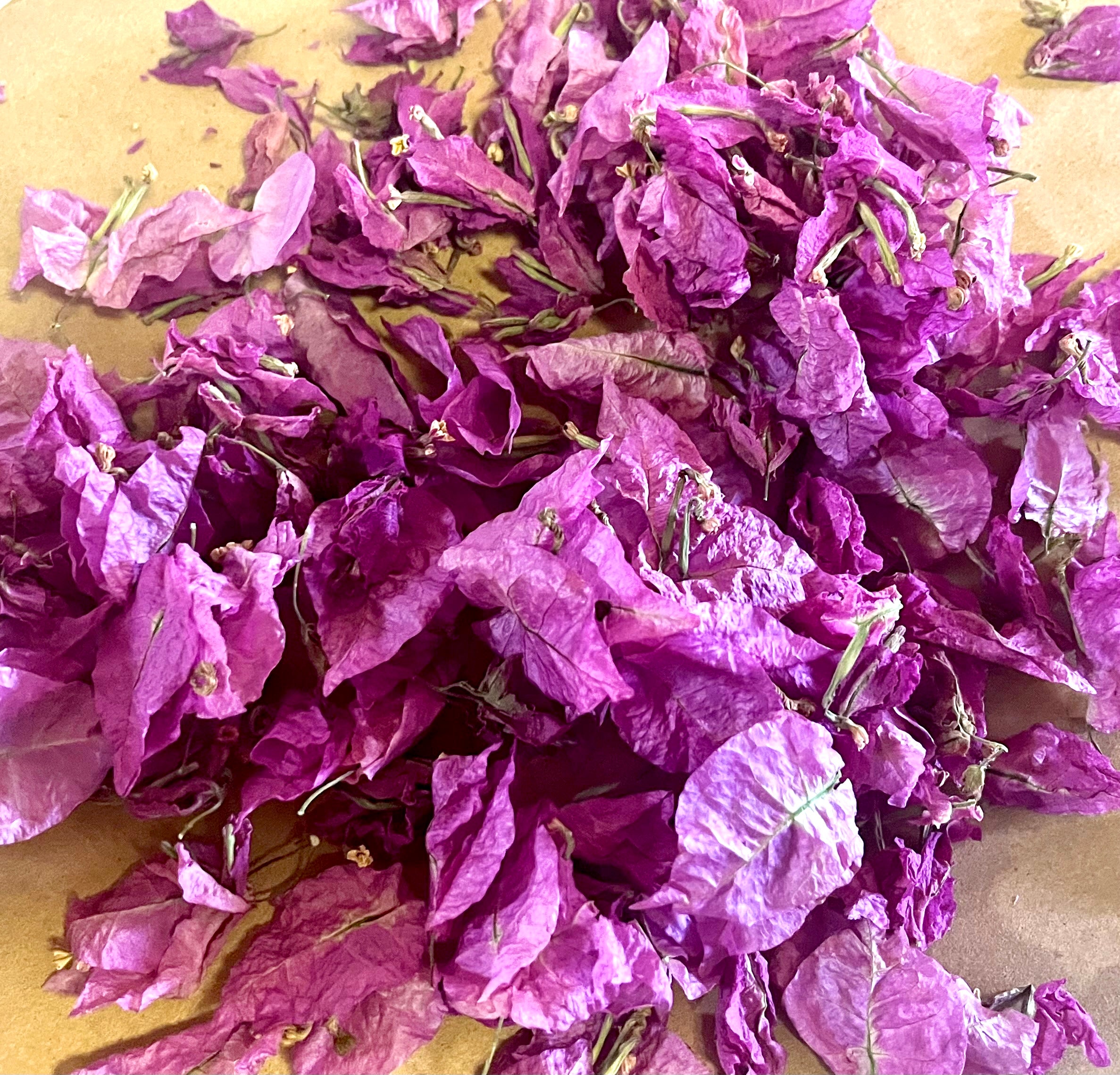 Dried Bougainvillea Flowers