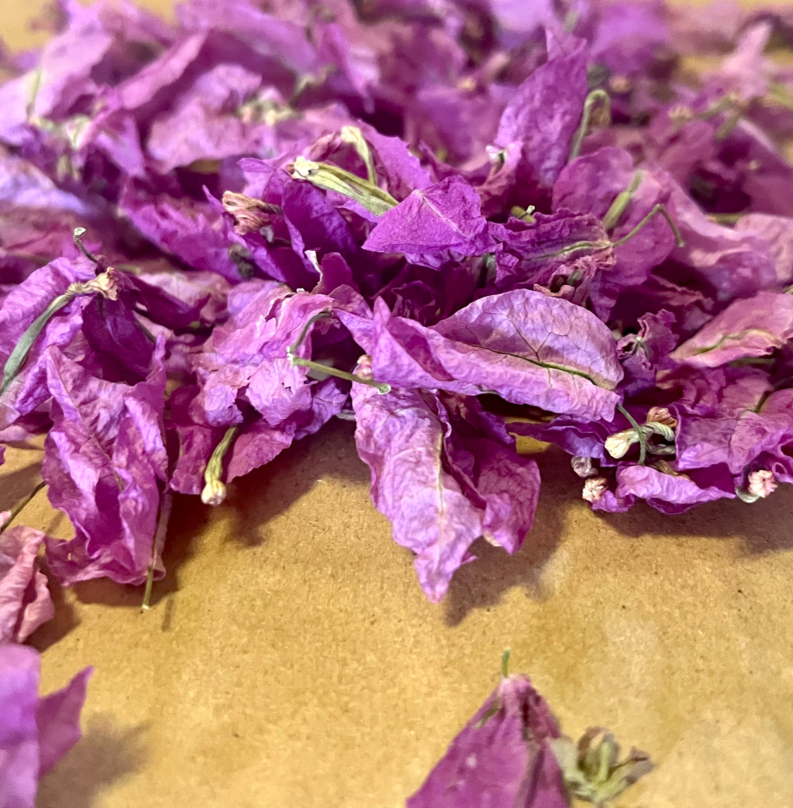 Dried Bougainvillea Flowers