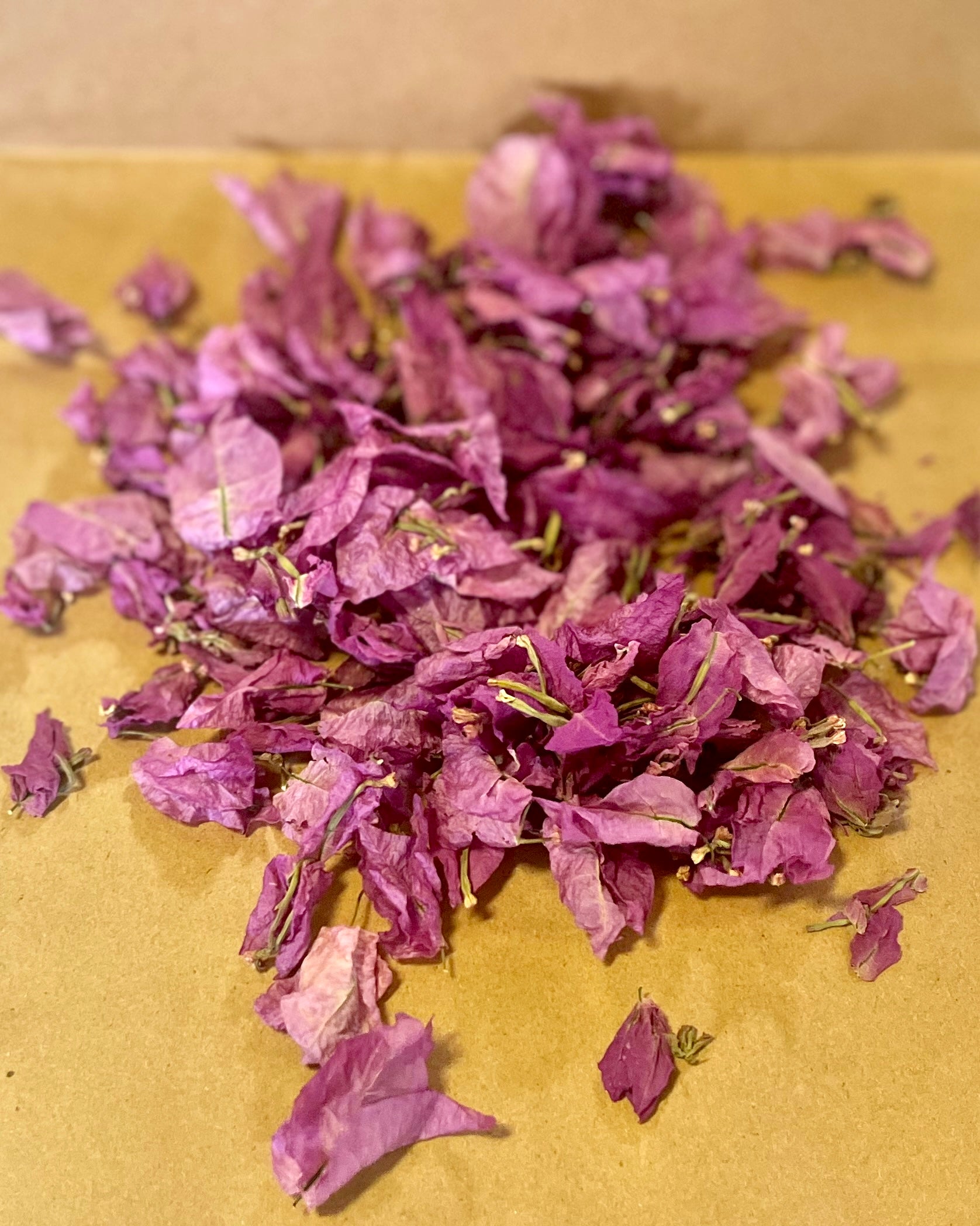 Dried Bougainvillea Flowers