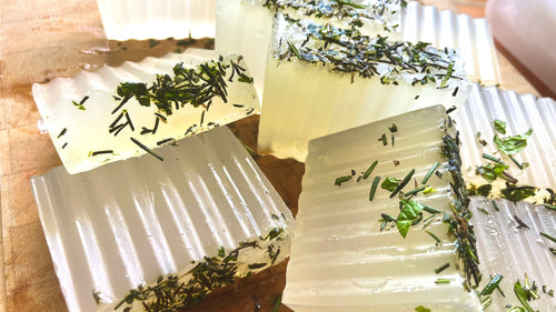 Coconut Rosemary Mint Soap
