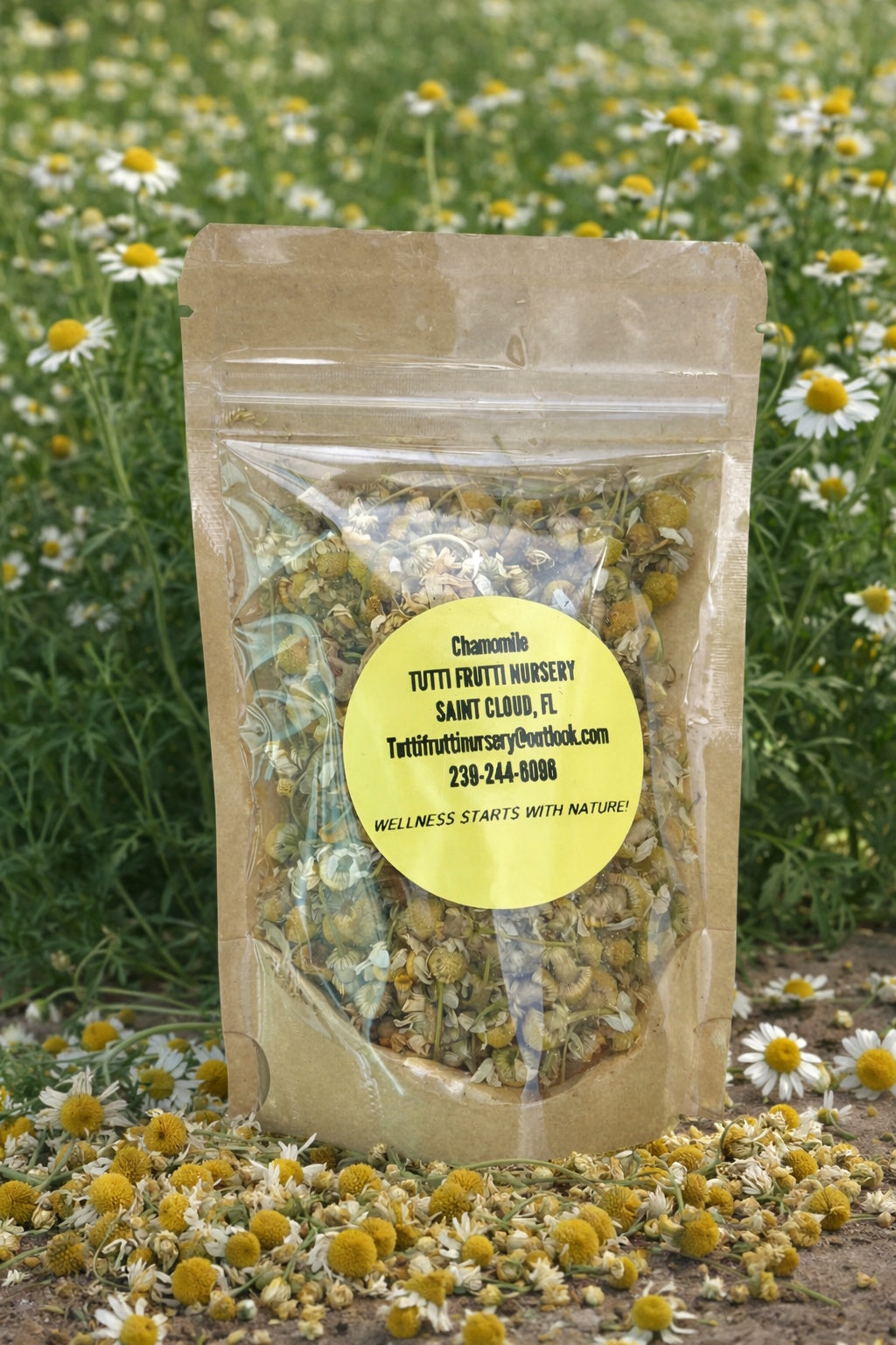 Dried Chamomile