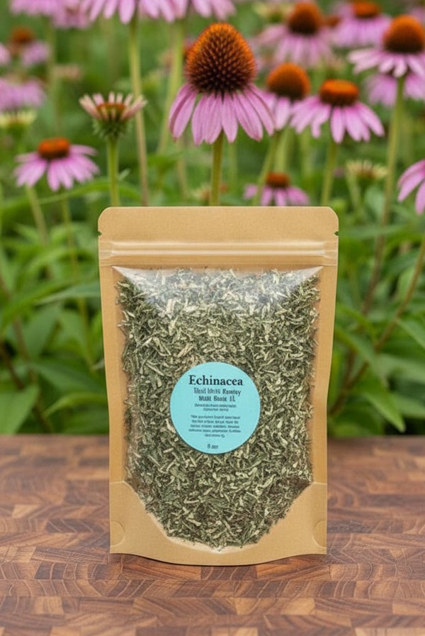 Echinacea