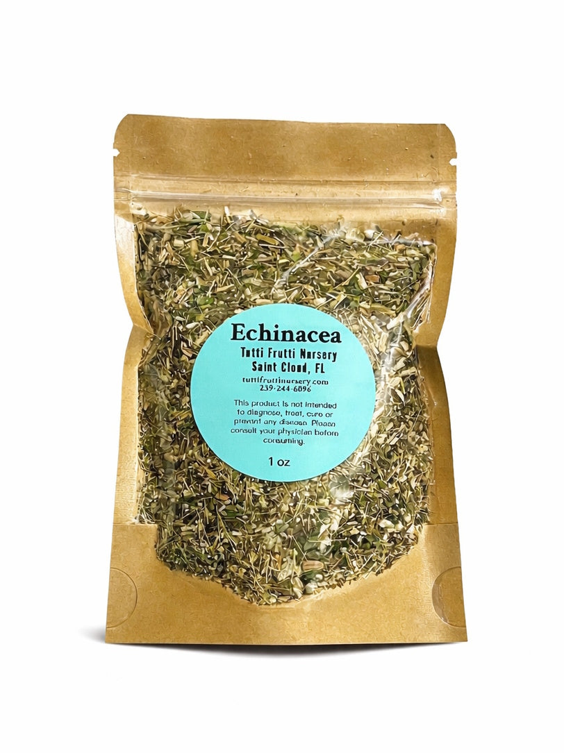 Echinacea