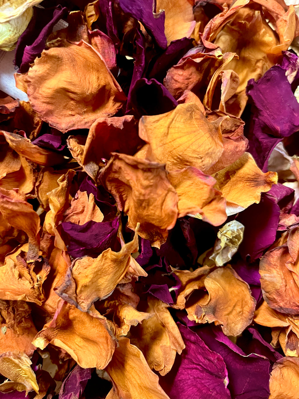 Rose Petals