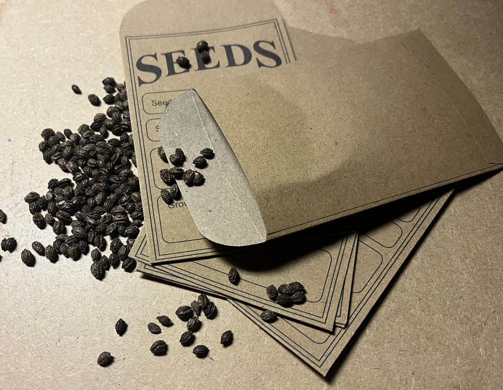 Packaged Seeds