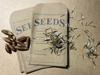 Packaged Seeds