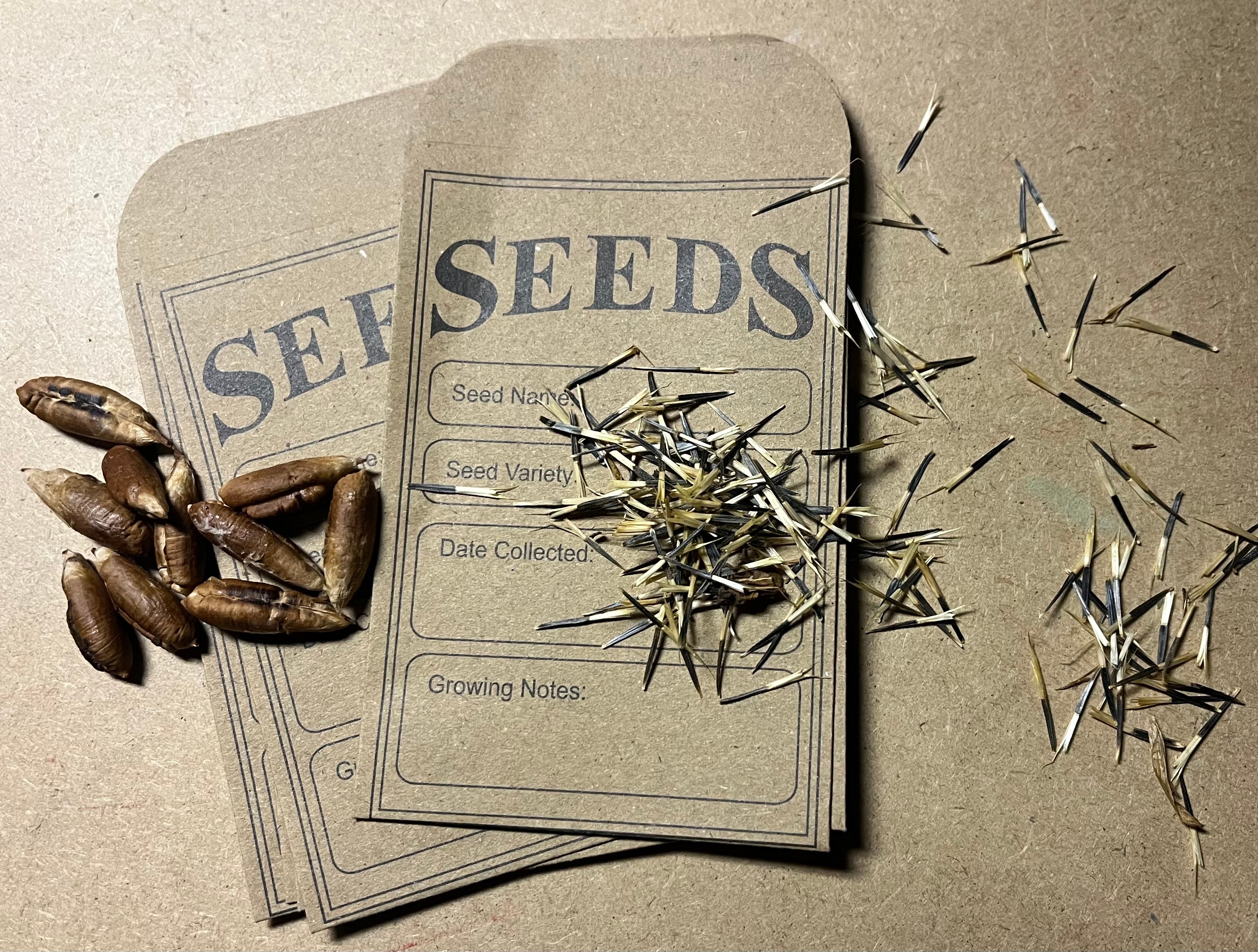 Packaged Seeds