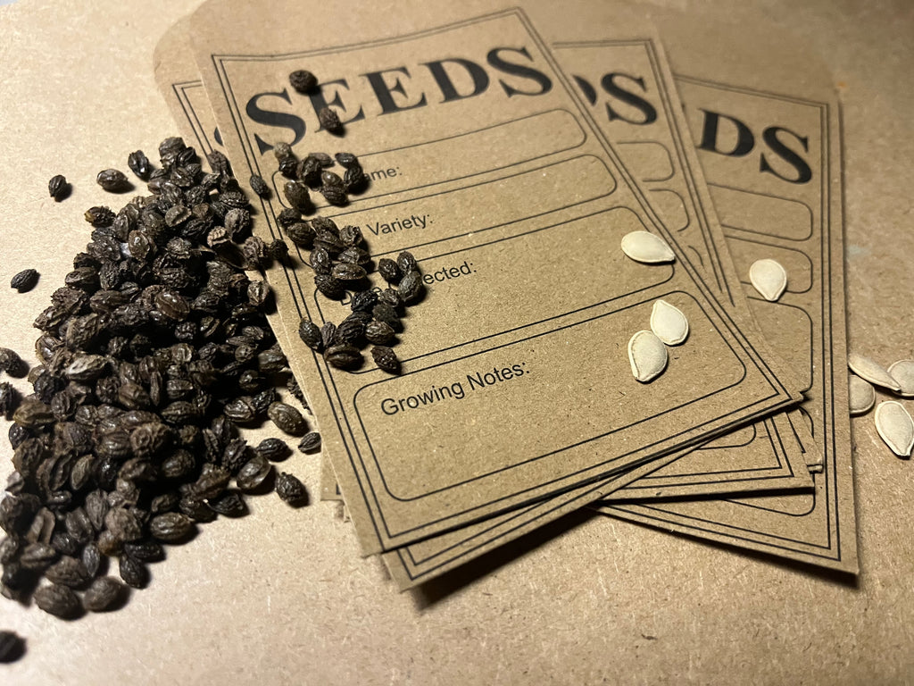 Packaged Seeds